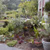 Bailey-birdbath.jpg (116635 bytes)